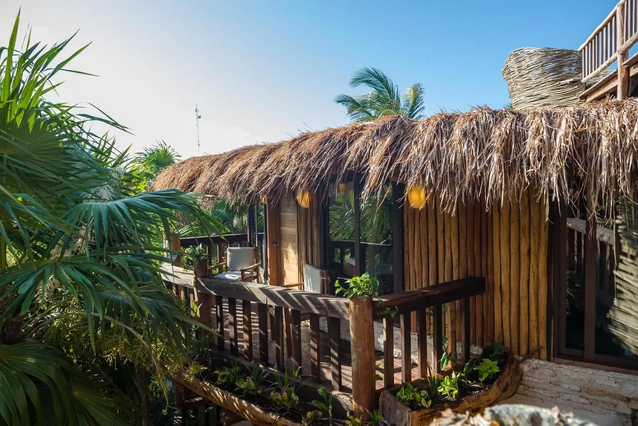 Kanan Tulum Treehouse, Rooftop, Beach Club & Spa - Adults Only