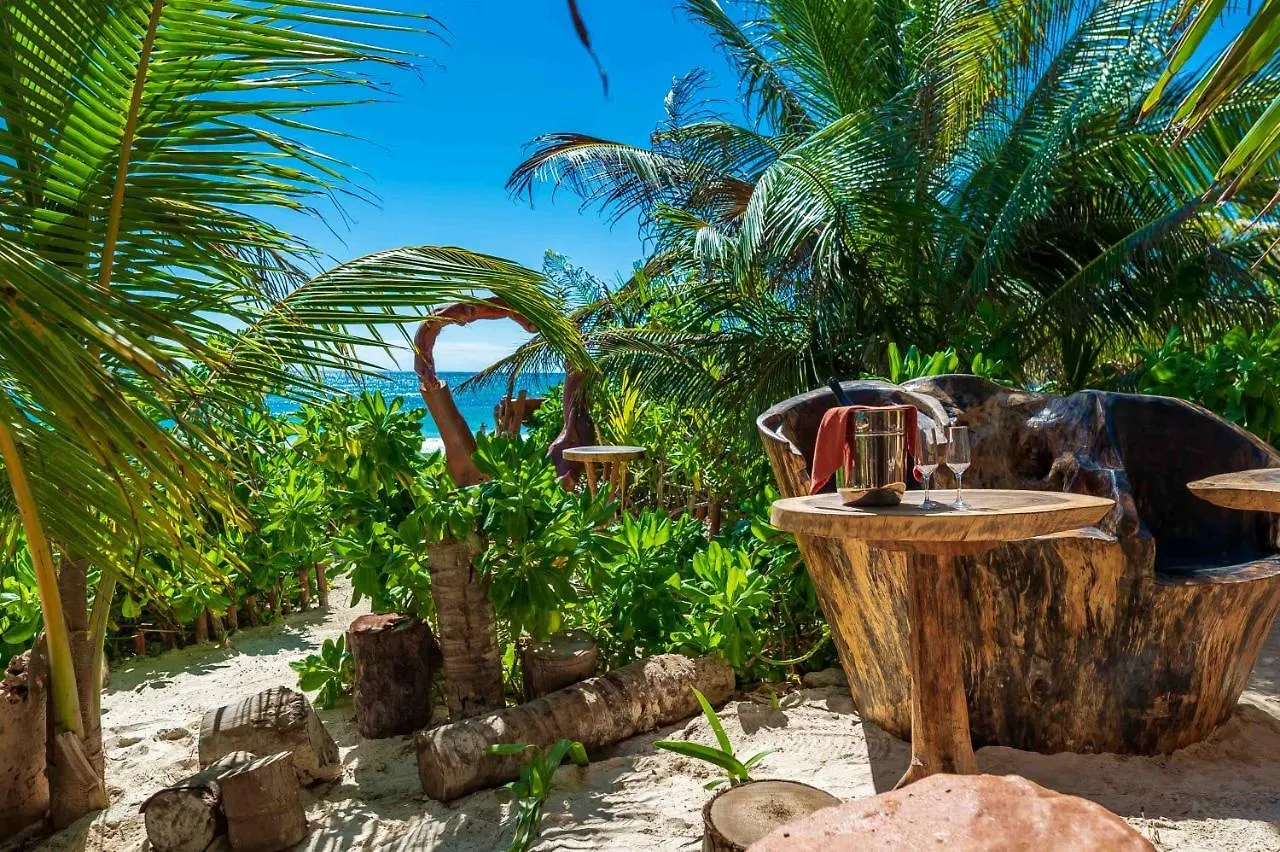 호텔 Kanan Tulum Treehouse, Rooftop, Beach Club & Spa - Adults Only