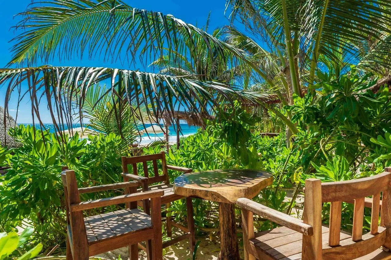 호텔 Kanan Tulum Treehouse, Rooftop, Beach Club & Spa - Adults Only